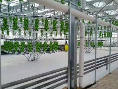 智能溫室栽培